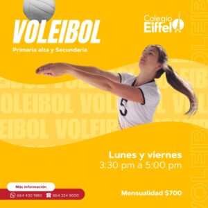 TALLER VOLEIBOL
